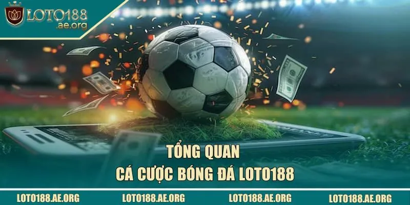 Tổng quan về cá cược bóng đá trực tuyến tại LOTO188