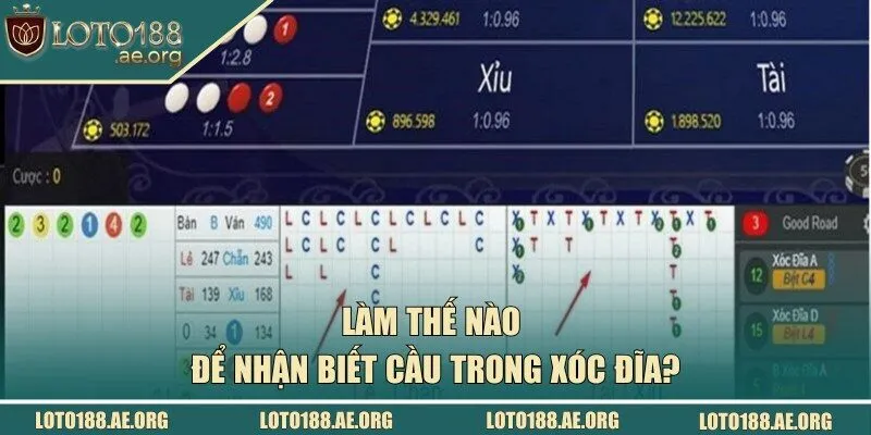 Làm thế nào để nhận biết cầu trong xóc đĩa?